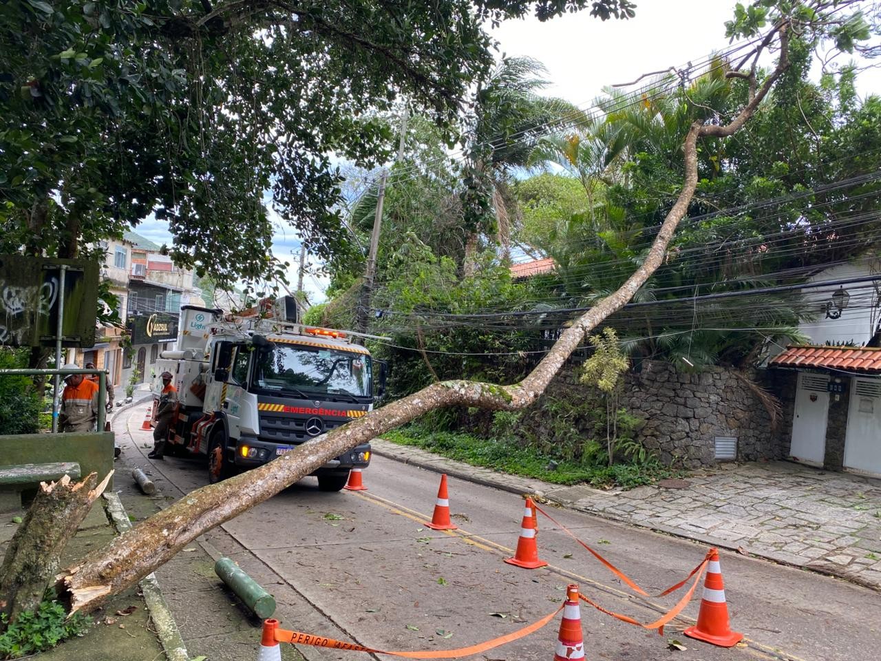 Tree falls on wiring in San Conrado — Photo: Filipe Bias