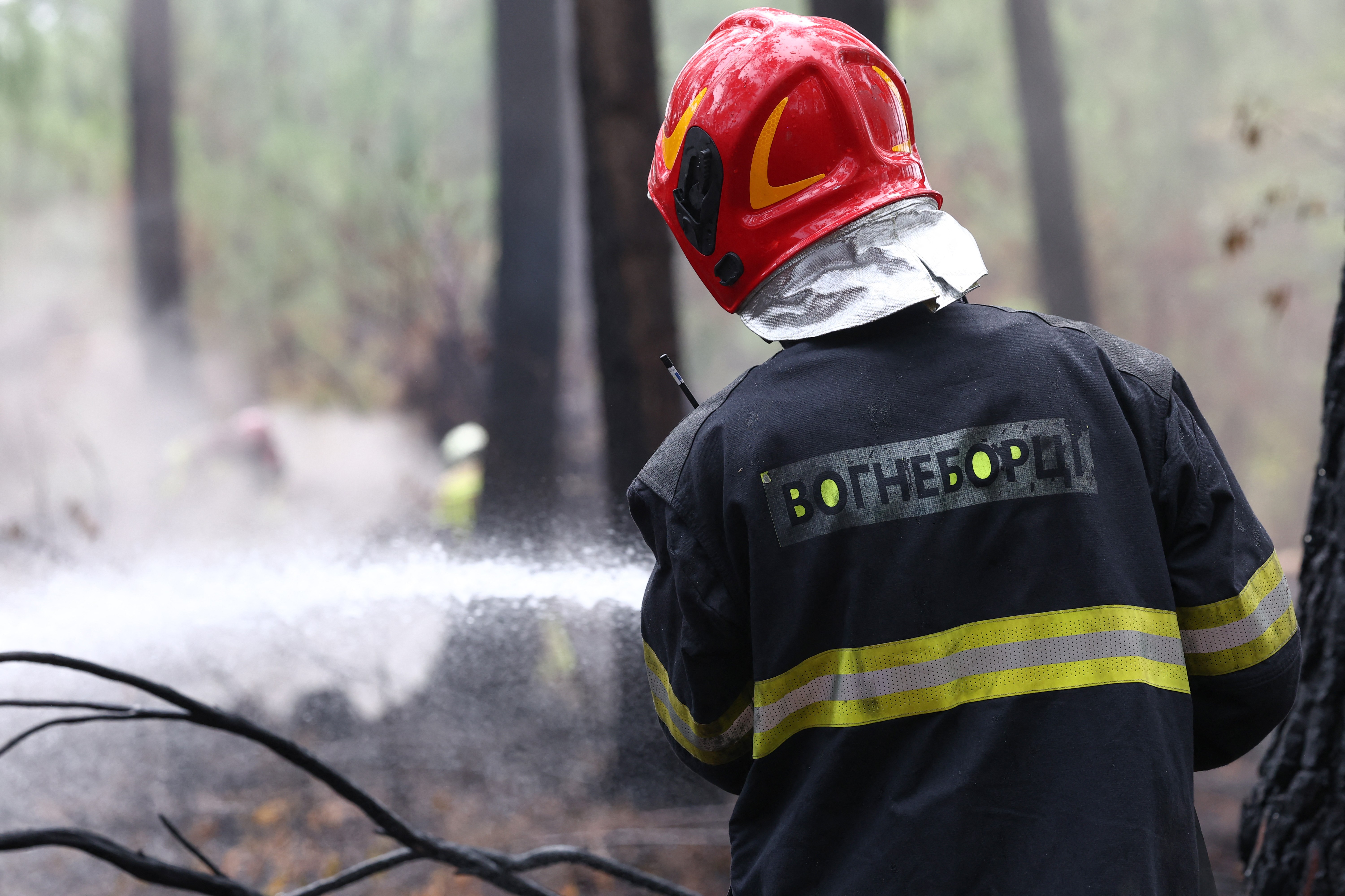 Incêndio florestal na França revela explosivos da Segunda Guerra Mundial sob área devastada - QTU Questões do Universo