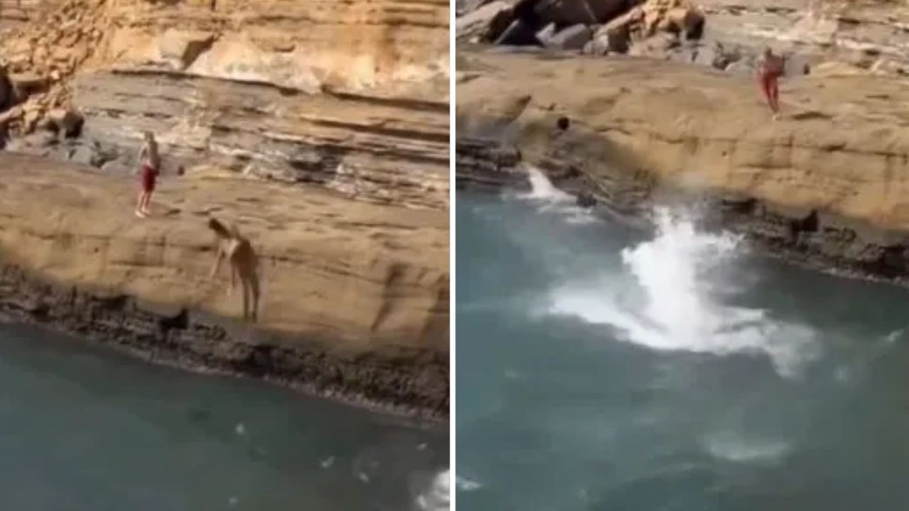 Jovem fica ferido após salto de penhasco dar errado na Califórnia; vídeo do acidente viraliza