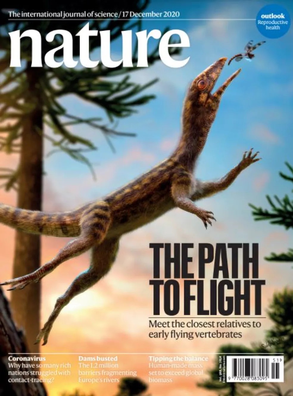 Ilustração de paleoartista brasileiro foi capa da edição de 17 de dezembro de 2020 da revista científica britânica  — Foto: Reprodução/Nature
