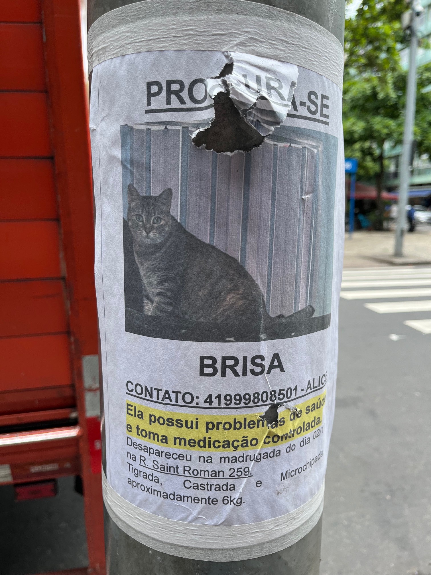 Procura-se Brisa em Ipanema