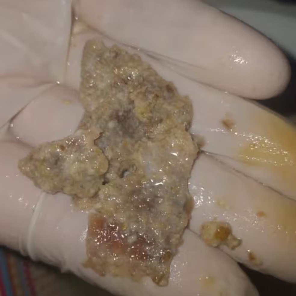 Commercial breaded toilet paper and cardboard instead of meat — Photo: Loreto Town Hall