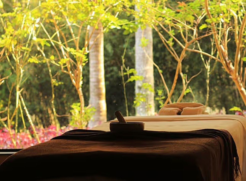 Botanique Hotel & Spa — Foto: Reprodução