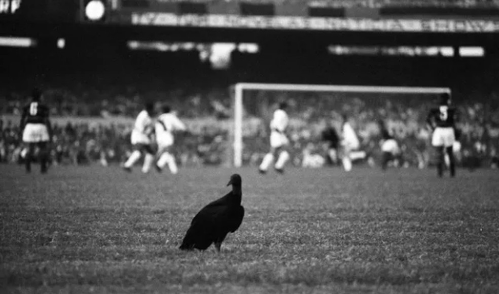 Segundo urubu jogado no Maracanã, em jogo do Fla contra o Vasco, no dia 8 de junho de 1969 — Foto: Arquivo/Agência O GLOBO
