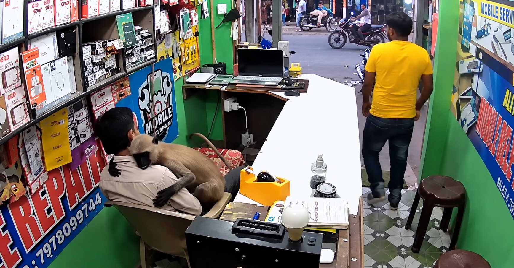 'Abraço inusitado': Macaco entra em loja na Índia e abraça comerciante distraído com celular; vídeo - Foto