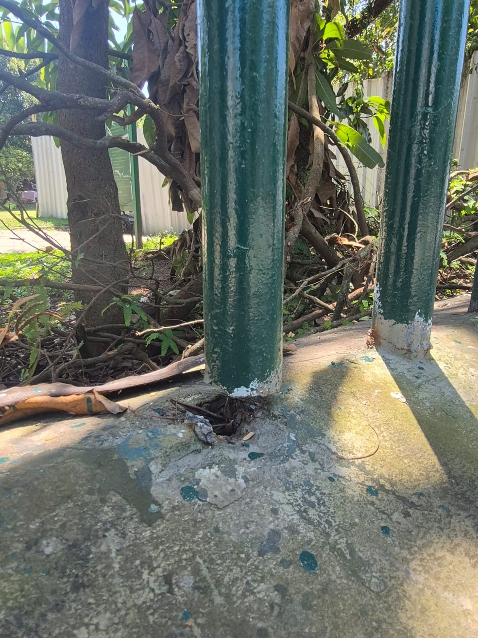 Moradores acusam a prefeitura de não realizar a reforma das grades da Praça do Pomar antes de realizar a pintura; Seconserva diz que barras danificadas serão substituídas — Foto: Foto de leitor