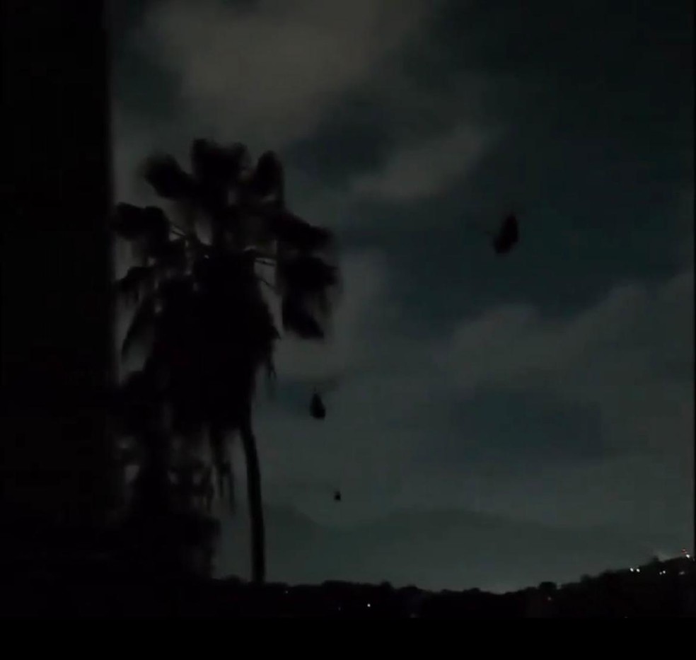 V&iacute;deo mostra helic&oacute;pteros de opera&ccedil;&otilde;es especiais sobrevoando caracas &mdash; Foto: Reprodu&ccedil;&atilde;o / Redes sociais