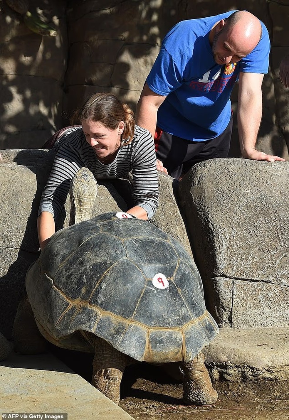The grandmother was loved by zoo visitors and staff alike - Image: AFP