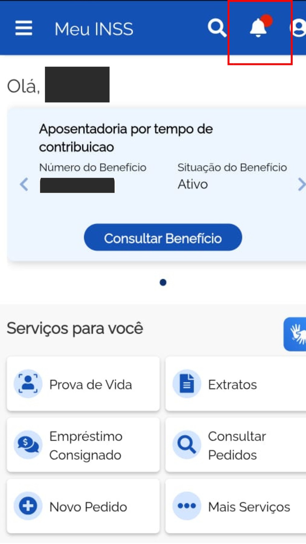 Confira o passo a passo para verificar se você recebeu a mensagem do INSS — Foto: Reprodução/Meu INSS
