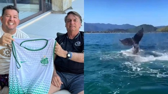 Vereador é multado por interação com baleia e suspeita semelhante recai sobre Bolsonaro