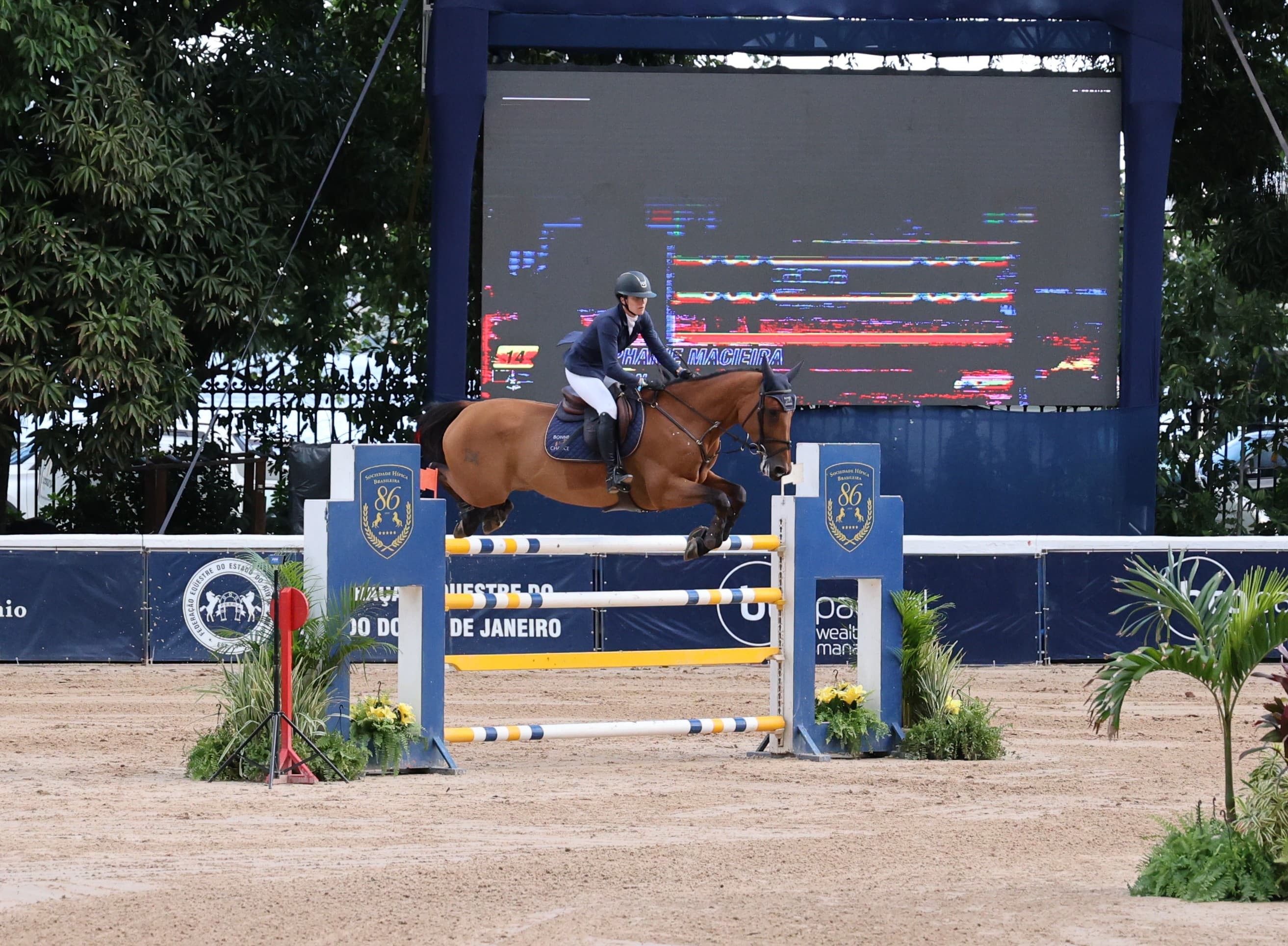 Hipismo: Stephanie Macieira conquista Troféu Roberto Marinho, no Rio de Janeiro