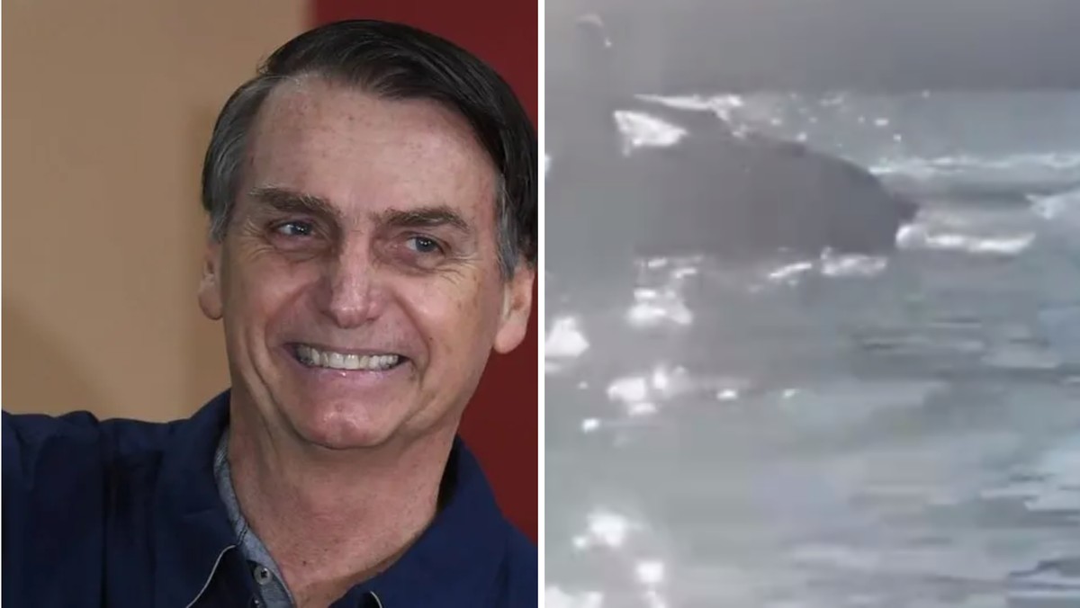 MPF e PF investigam se Bolsonaro 'importunou' baleia jubarte em passeio de jetski