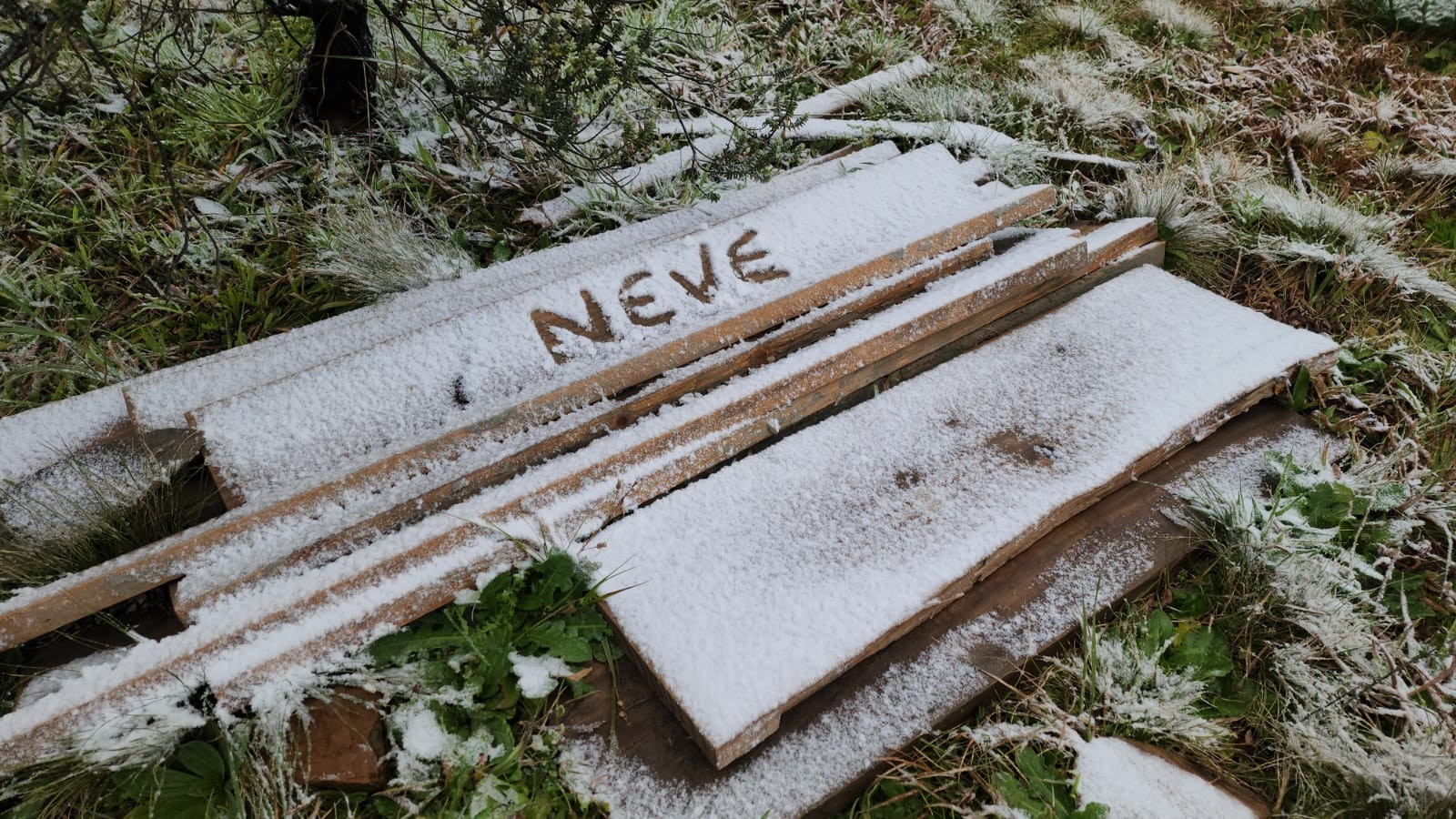 População aproveita para brincar com neve que caiu durante a madrugada — Foto: Mycchel Legnaghi