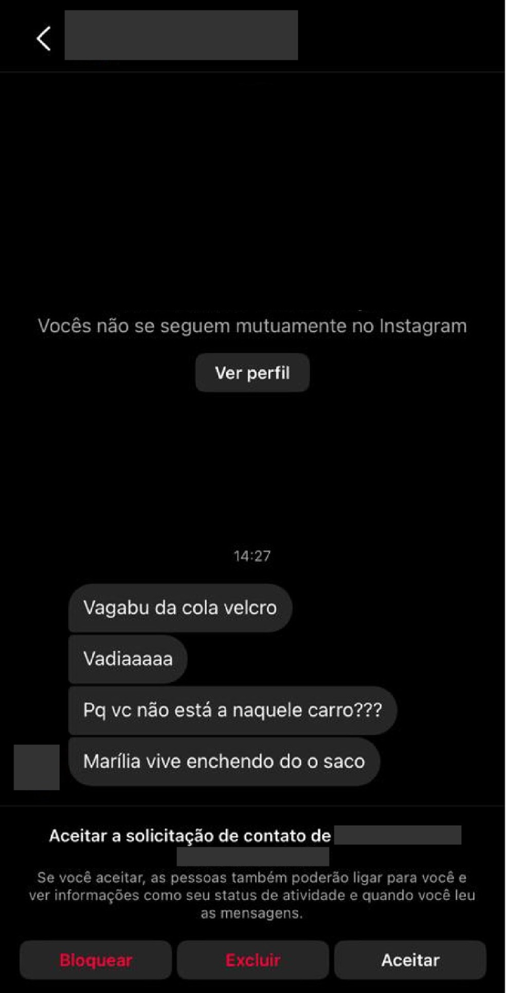 Mensagens ofensivas recebidas por Anielle Franco - Reprodução