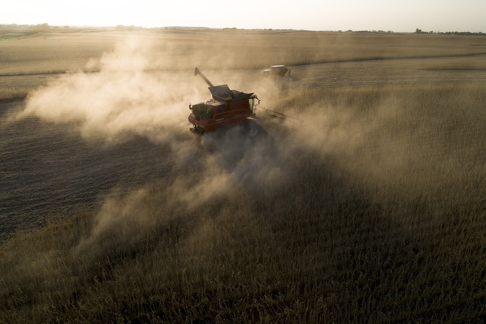 Colheita de grãos de soja em Wyanet, Illinois, nos EUA — Foto: Bloomberg