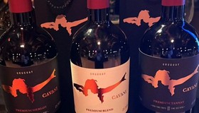 Cavani lança marca de vinhos finos no Uruguai: 'espírito selvagem'