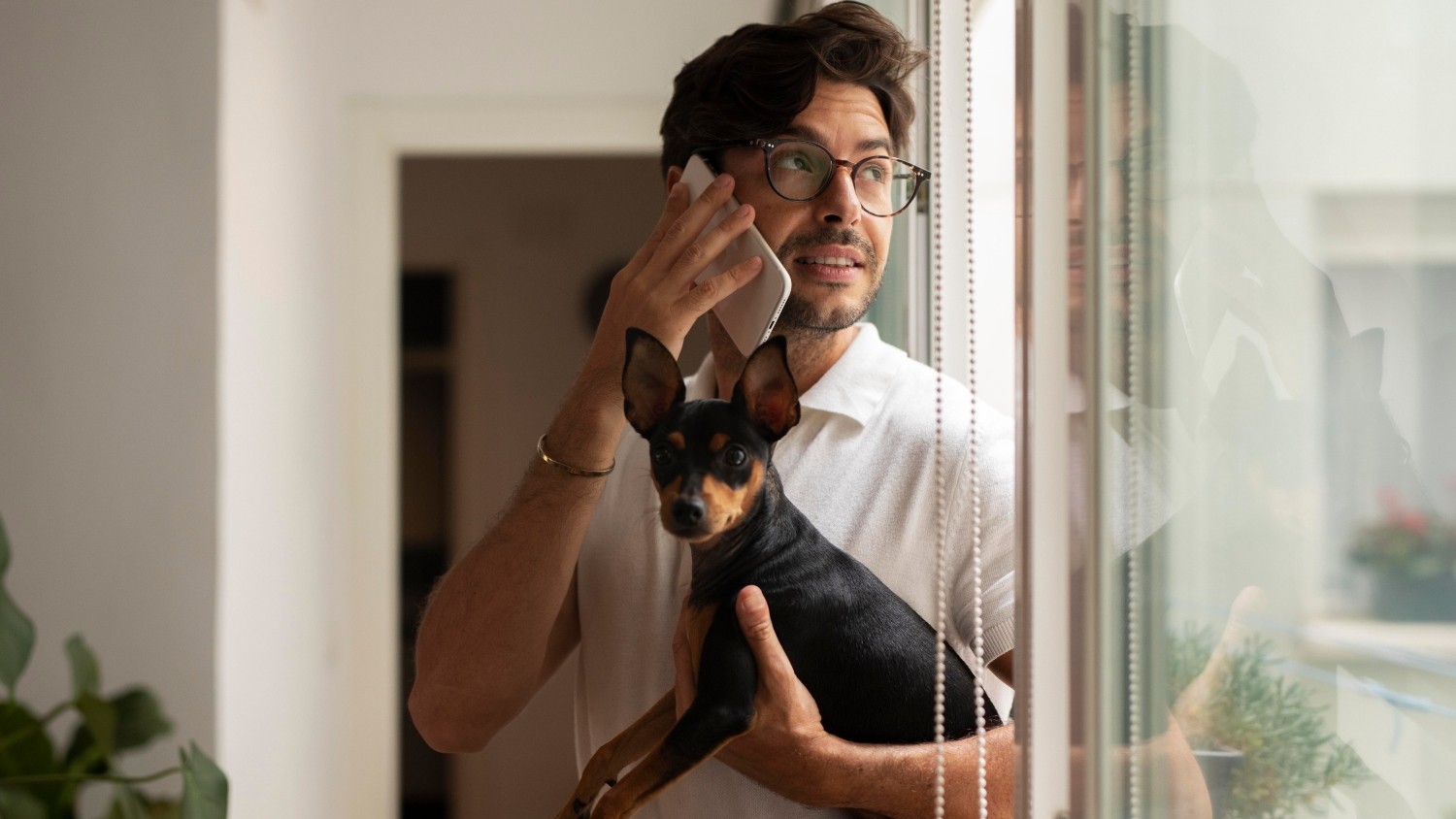A nova rotina dos humanos está afetando os cães? Entenda o impacto emocional nos pets