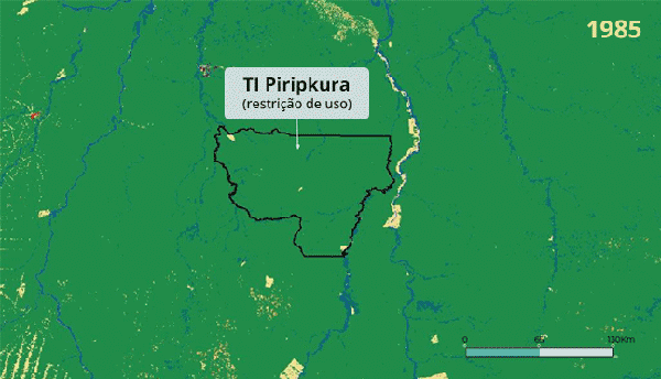 Progress of deforestation on Piripkura indigenous lands between 2008 and 2023 in Landsat satellite images and annual land cover and use map data — Photo: MapBiomas