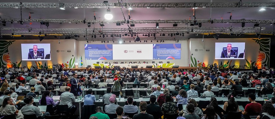 Closing plenary meeting of the 30th Conference of the Parties (COP30)