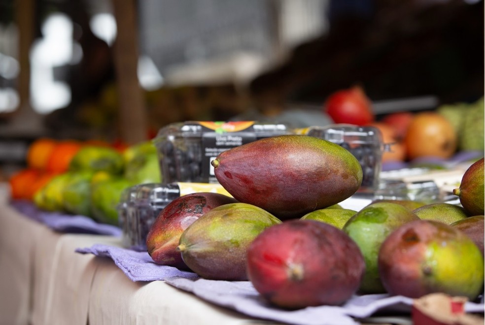 Com tarifas de Trump, preço das frutas típicas para exportação já apresenta queda — Foto: Júlia Aguiar/Agência O Globo
