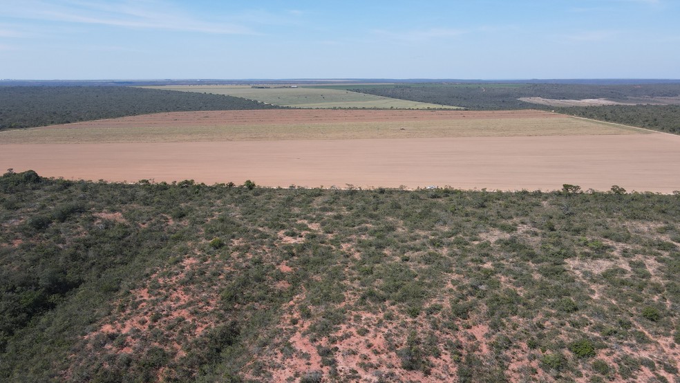 Imediações do Parque Nacional Grande Sertão Veredas, entre a Bahia e Minas Gerais, mostra o avanço da monocultura — Foto: Acervo pessoal