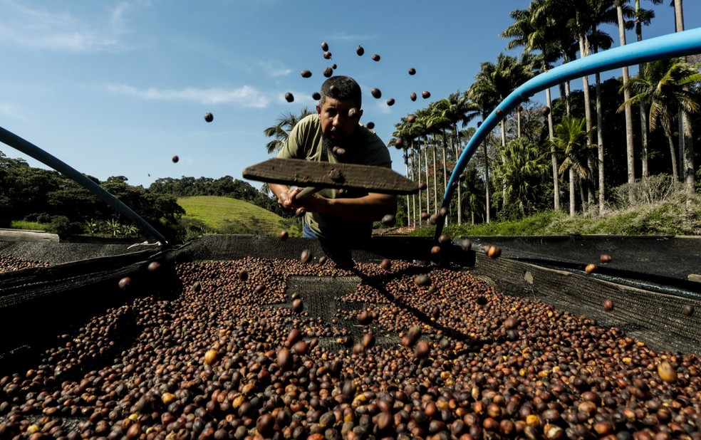 Café colhido em fazenda no interior do Rio: matéria prima da bebida que tem nos EUA seu maior mercado ficou de fora de exceções — Foto: Gabriel de Paiva