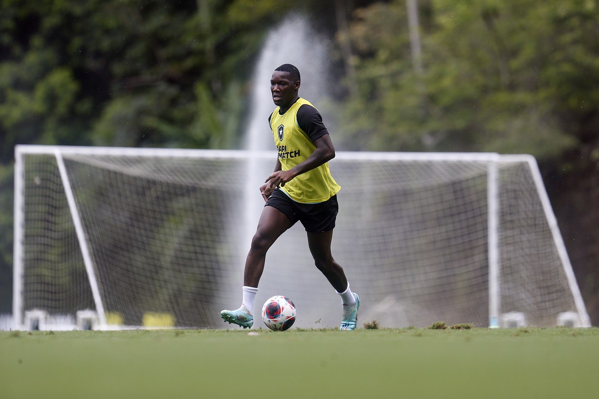 Botafogo encaminha empréstimo de Patrick de Paula para o Criciúma até ...