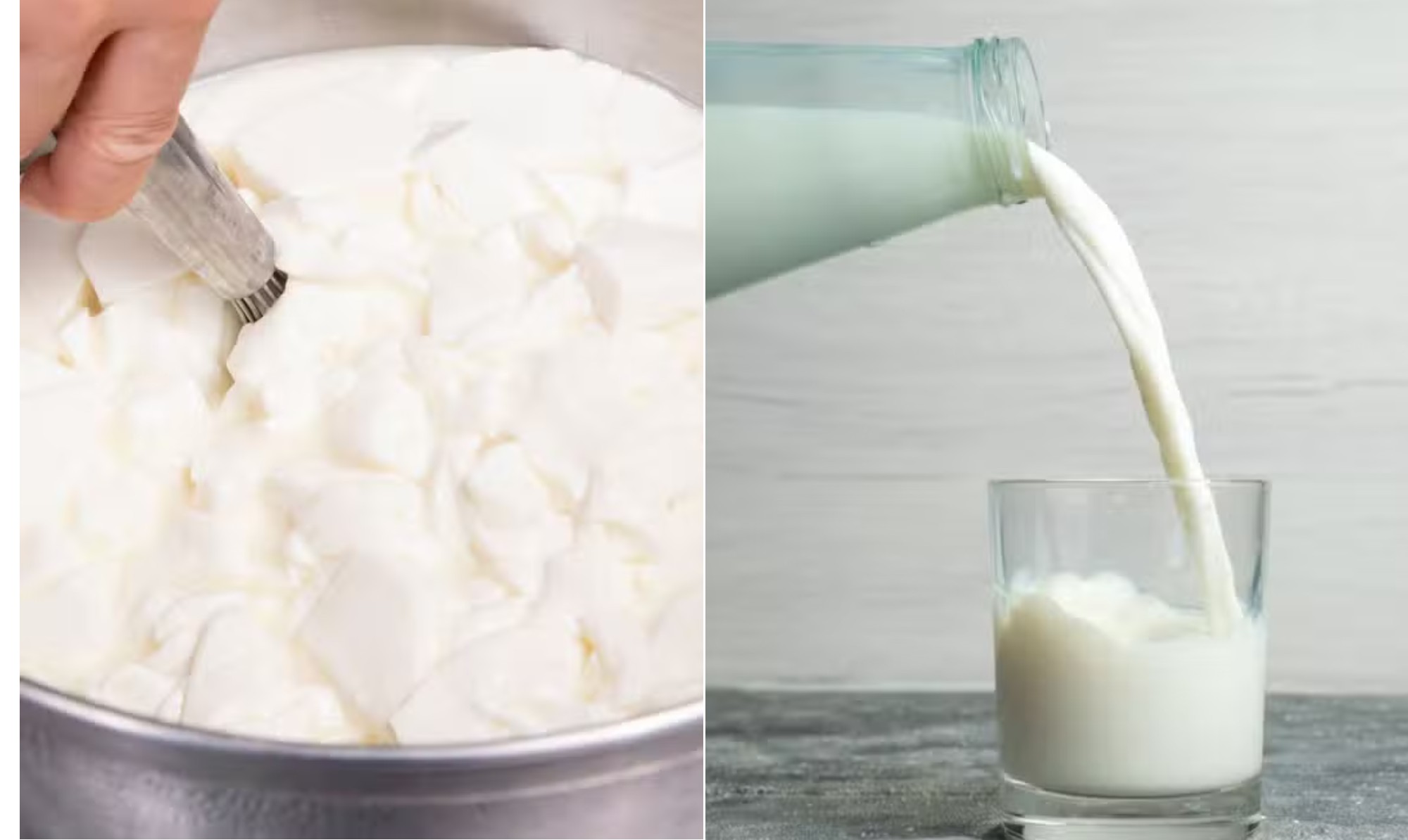 Vírus da gripe aviária sobrevive em queijo de leite cru por até 120 dias, mostra novo estudo da Nature Medicine; entenda
