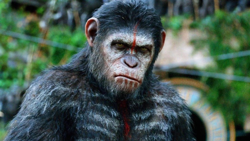 ‘Planeta dos Macacos: o confronto’ (2014) — Foto: Reprodução
