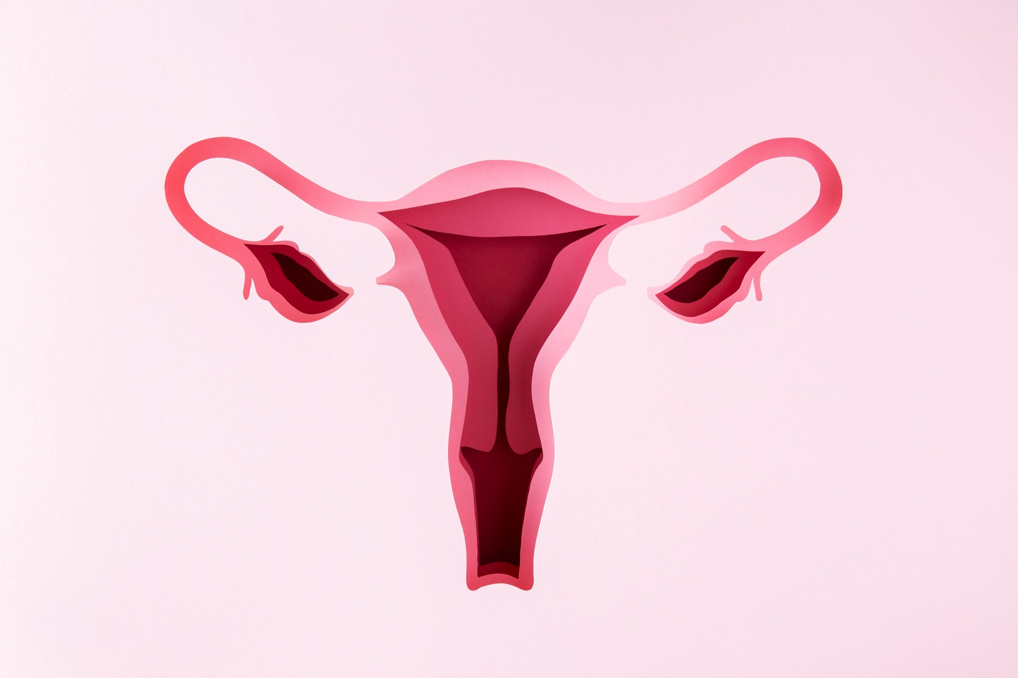 Como medir o comprimento de uma vagina? Saiba qual é o tamanho médio