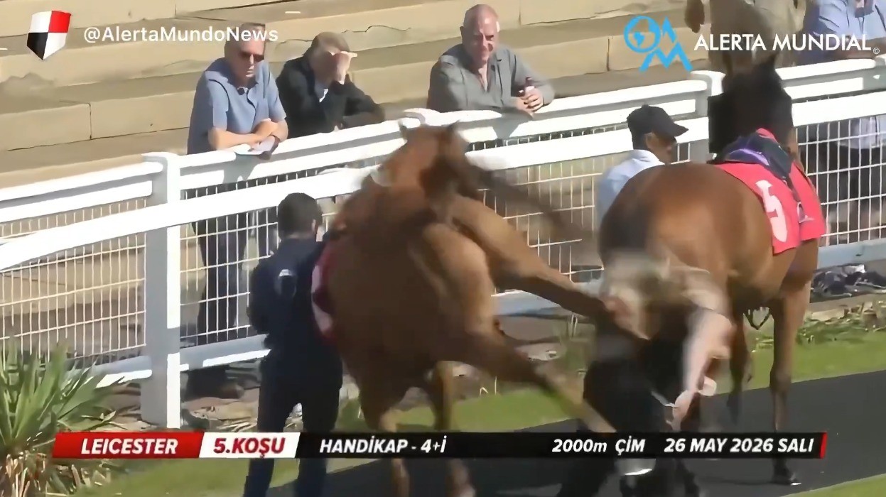 Vídeo flagra momento em que assistente de hipismo leva coice de cavalo e é arremessada durante corrida no Reino Unido; assista