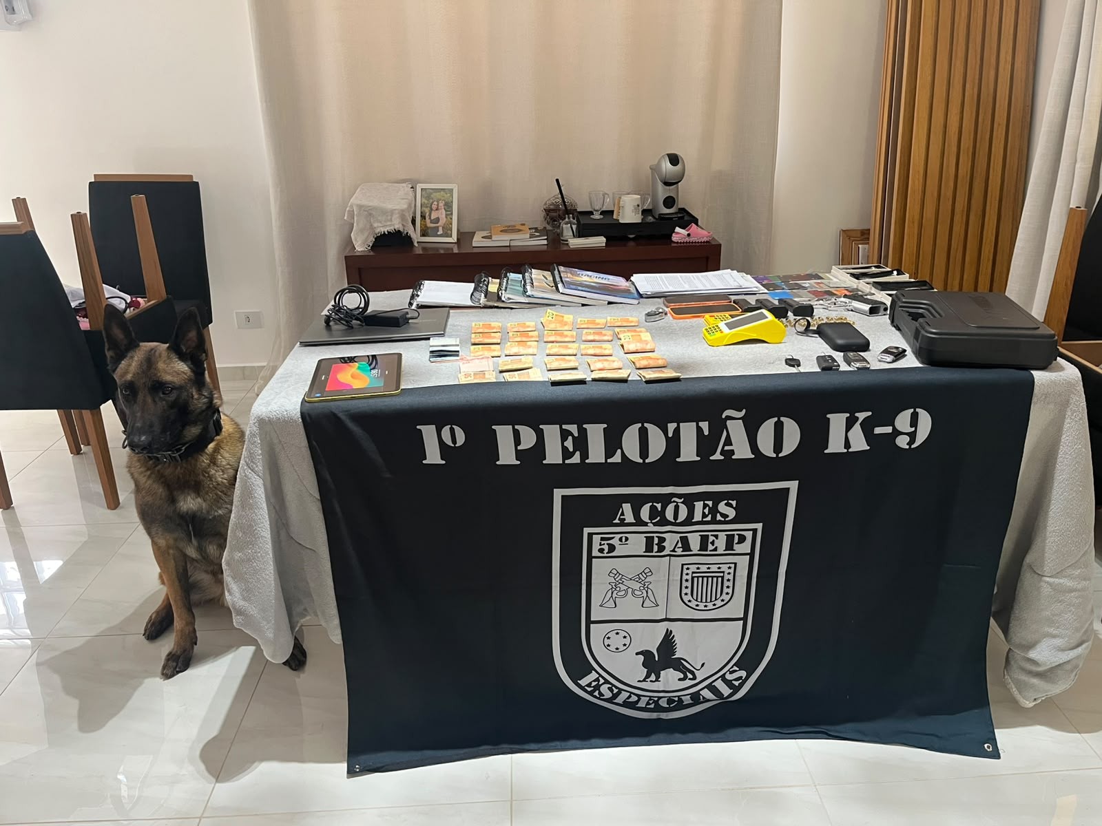 Falsos policiais são alvo de operação conjunta da PM e do Ministério Público