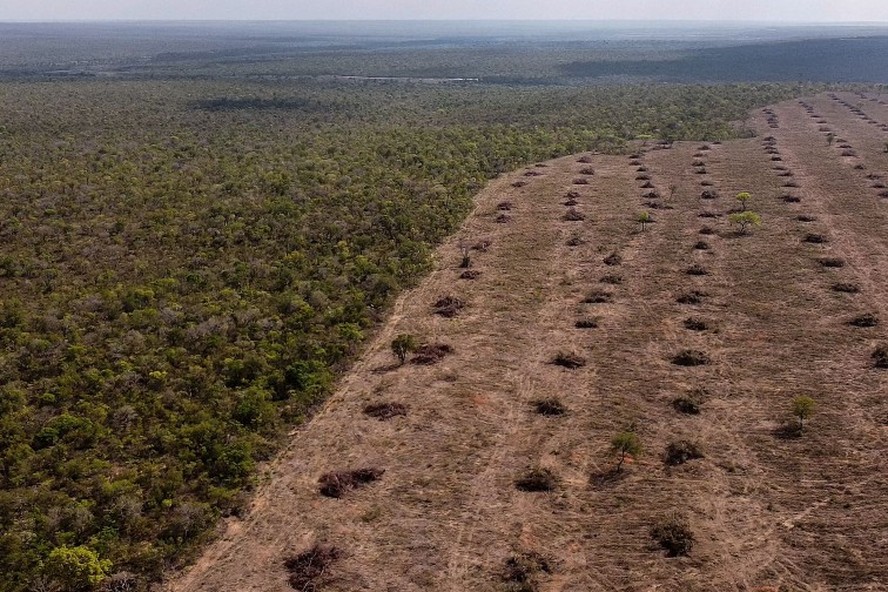 Desmatamento em área de Cerrado no oeste da Bahia