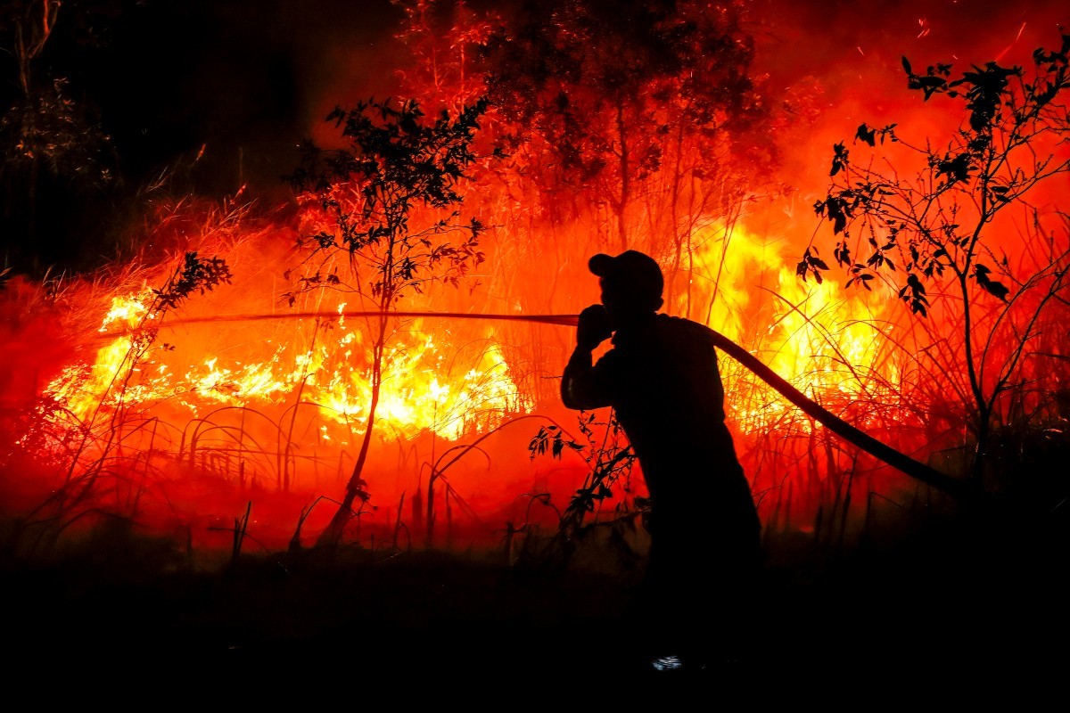 Incêndios na Indonésia já queimaram 1,9 milhão de hectares em 2026, aponta monitoramento por satélite