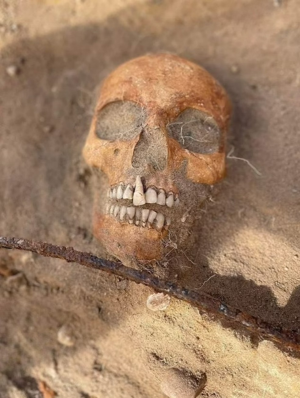 Área em que mulher foi achada chegou a ser batizada de 'Campo dos Vampiros' e abriga cerca de 100 mortos enterrados de maneiras curiosas — Foto: Miroslaw Blicharski /Aleksander Poznan