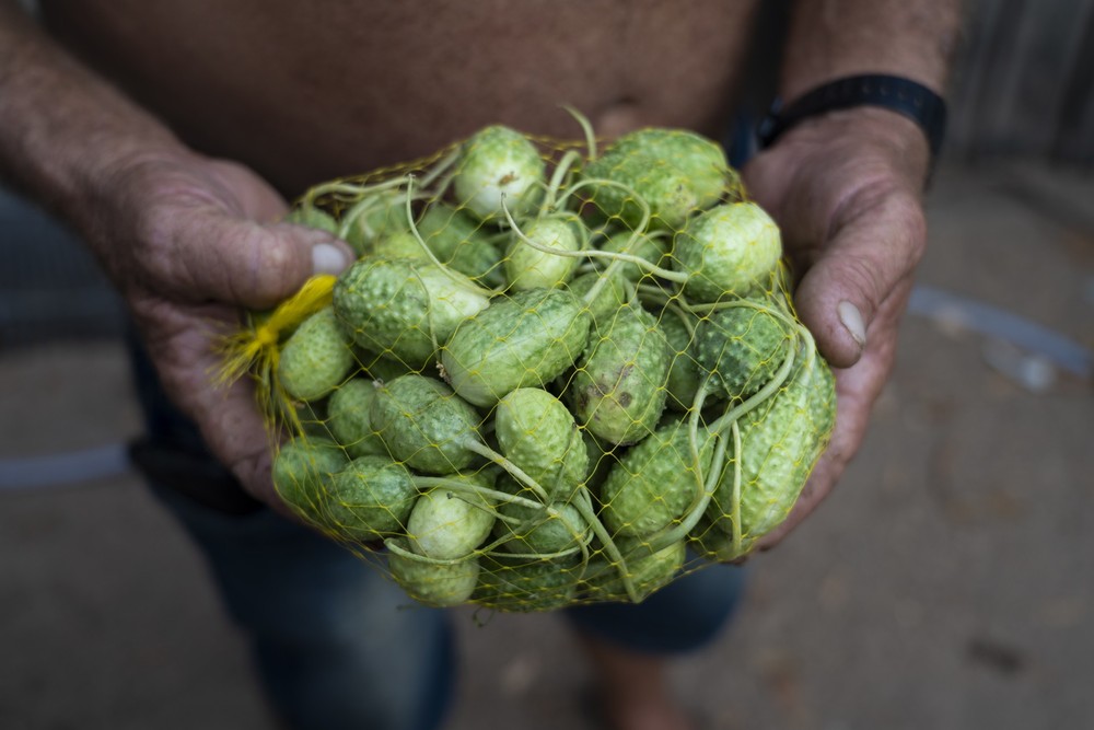 Na rota da soja, assentamentos investem na produção sustentável de ...