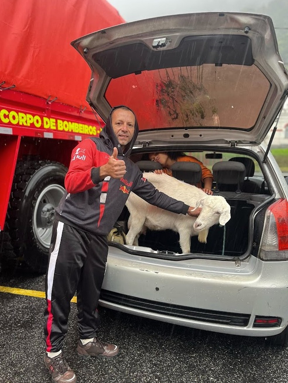 Cabra ficou presa no porta-malas do carro — Foto: Divulgação