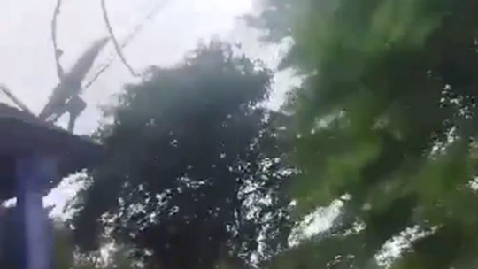Vídeo: homem enfrenta ondas durante cheia do Guaíba para resgatar animais; assista