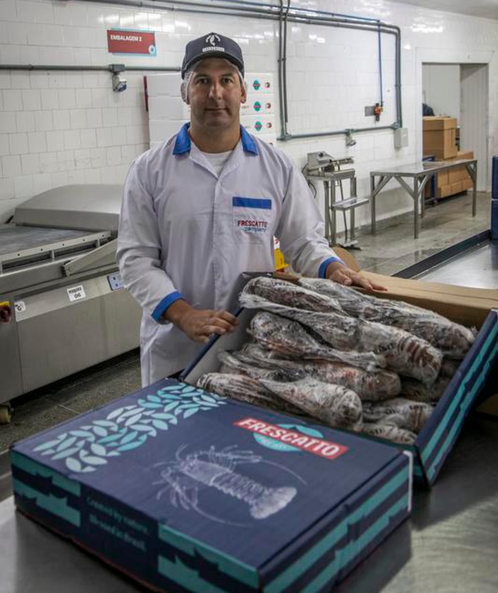 Segundo Rafael Barata, da Frescatto, se fosse para as mercadorias chegarem aos EUA até 1o de agosto, não daria tempo de usar o transporte marítimo — Foto: Guito Moreto