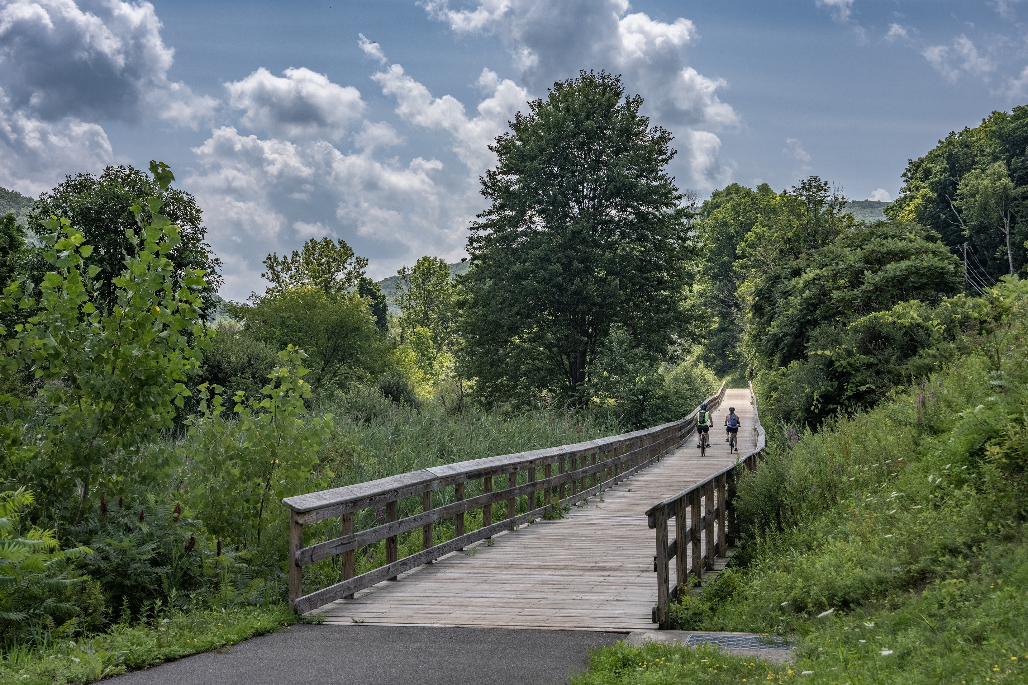 Cinco dicas de passeios de bicicleta  nos Estados Unidos para quem quer natureza de Leste a Oeste - QTU Questões do Universo