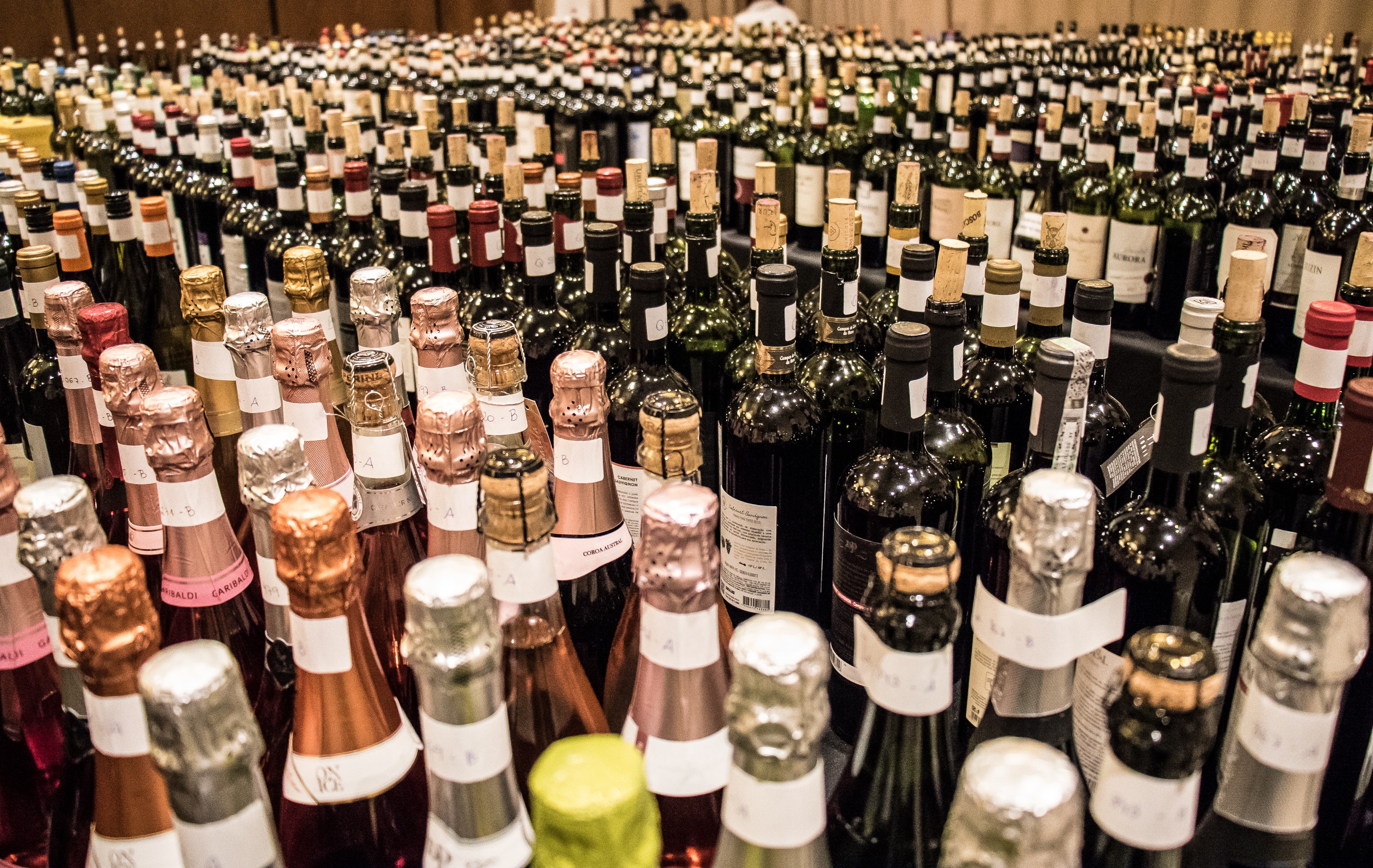 Sete vinhos de Minas Gerais estão entre os melhores do Brasil; veja quais são