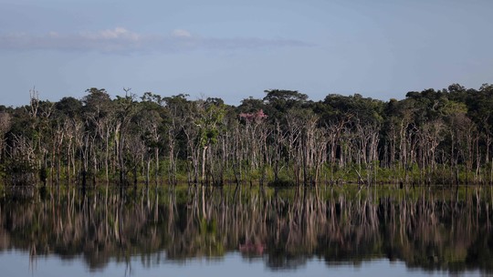 Petróleo, mineração e reservas indígenas são tabus de cúpula de países amazônicos