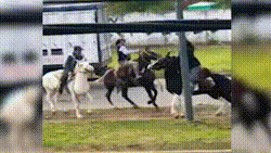 Cavaleiros trocam chicotadas durante festa nacional na Argentina; vídeo viraliza nas redes