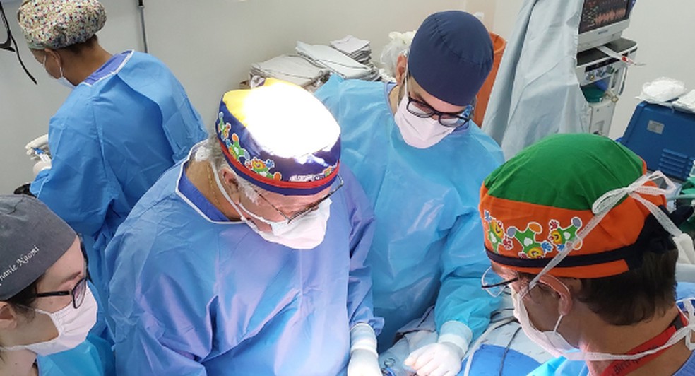 Cirurgia de separação de gêmeas — Foto: Hospital das Clínicas de São José do Rio Preto