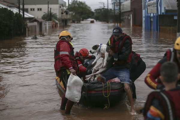 ONG's e grupos voluntários vem se somando no resgate de animais domésticos abandonados durante as enchentes no Rio Grande do Sul