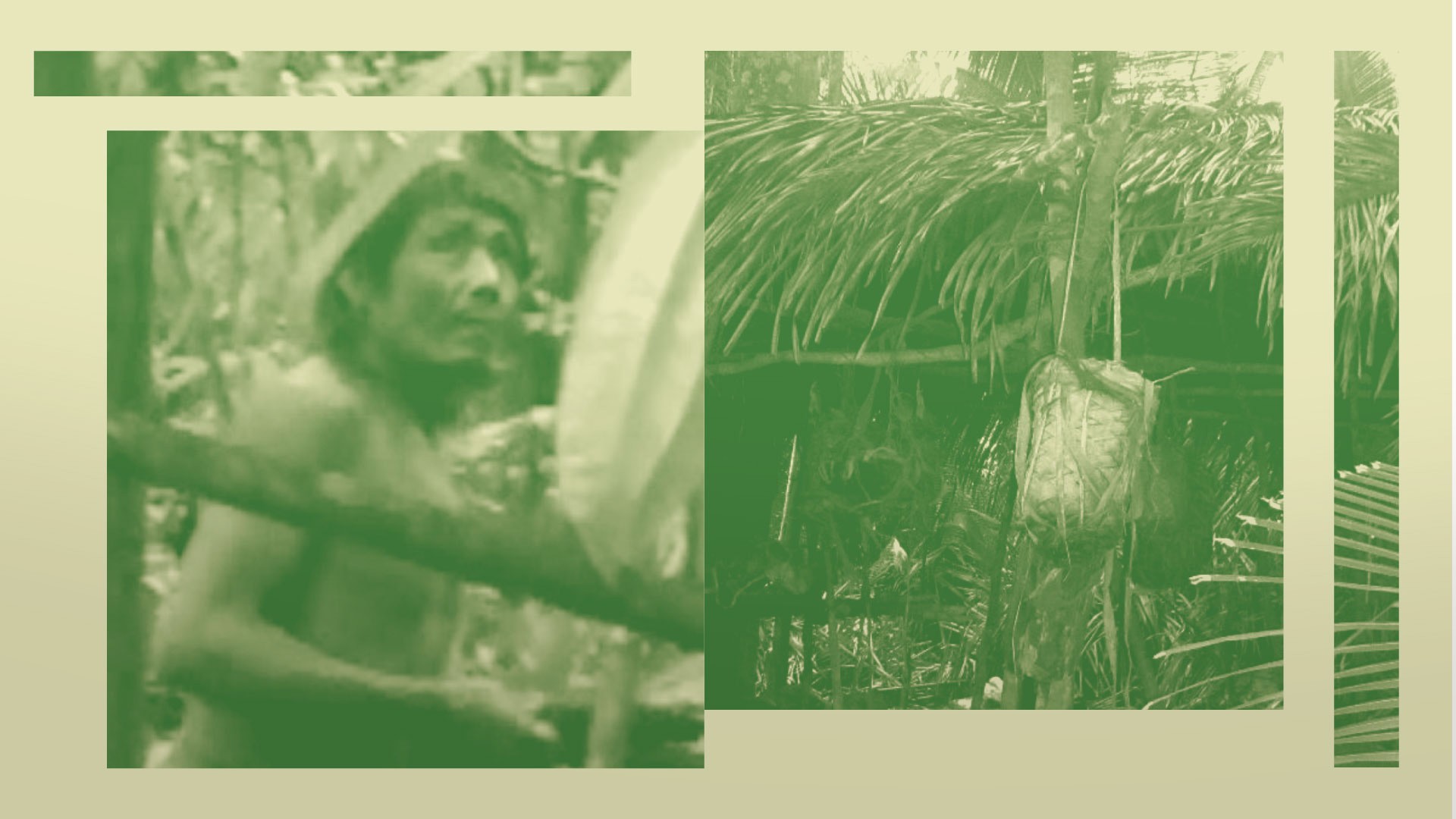 Kawahiva: Governo fracassa na demarcação de terra indígena com isolados