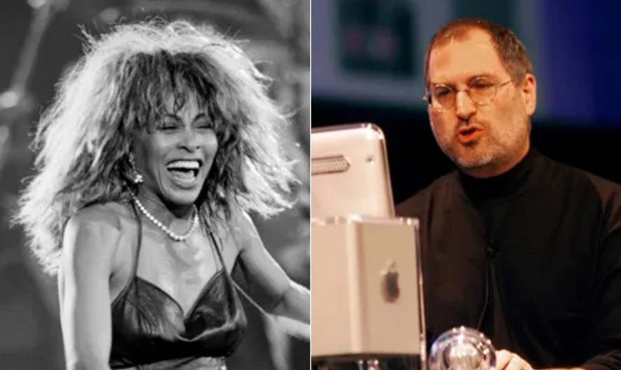 Tina Turner e Steve Jobs recorreram a homeopatia em suas doenças