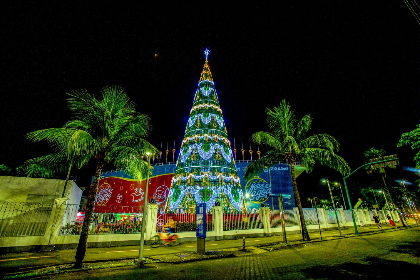 Traditional Lagoa tree, background, in the Lagoon – Photography: Alexandre Cassiano