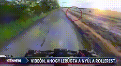 Coelho salta contra moto elétrica e derruba piloto em estrada na Hungria; vídeo
