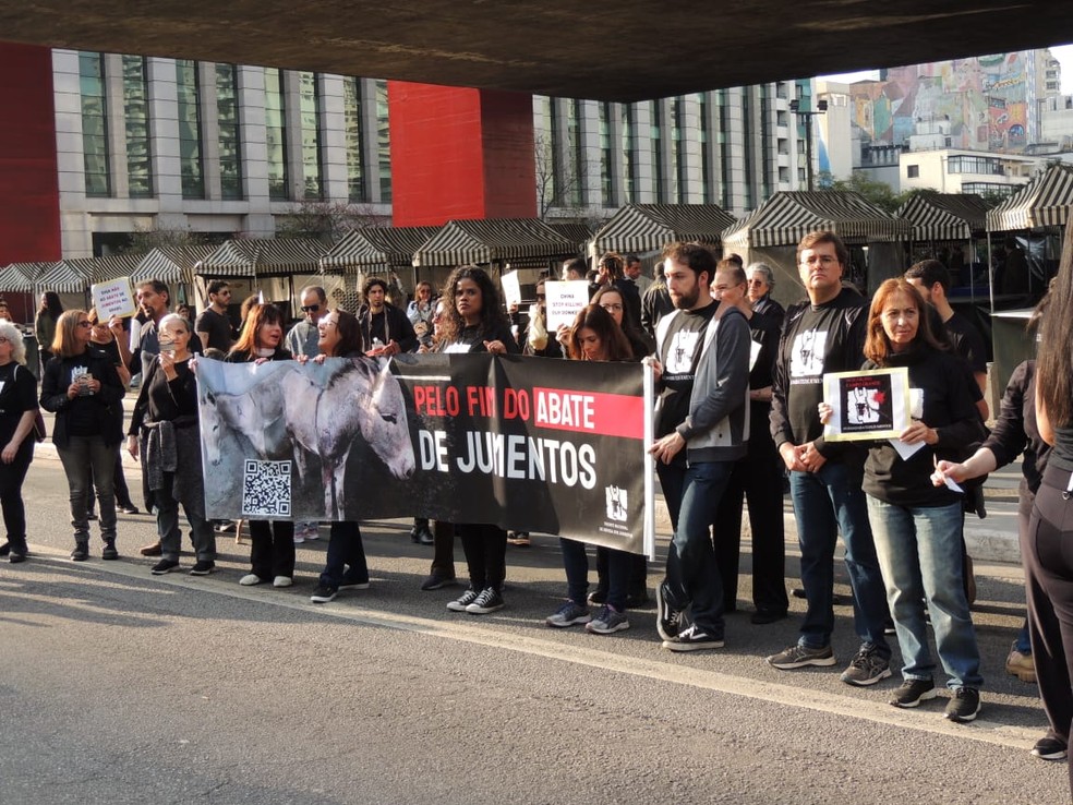 Protesto em São Paulo:  não existe no país uma cadeia de produção de jumentos voltada para abate — Foto: Divulgação/ Frente Nacional de Defesa dos Jumentos